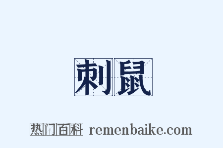 刺鼠是什么意思的图片